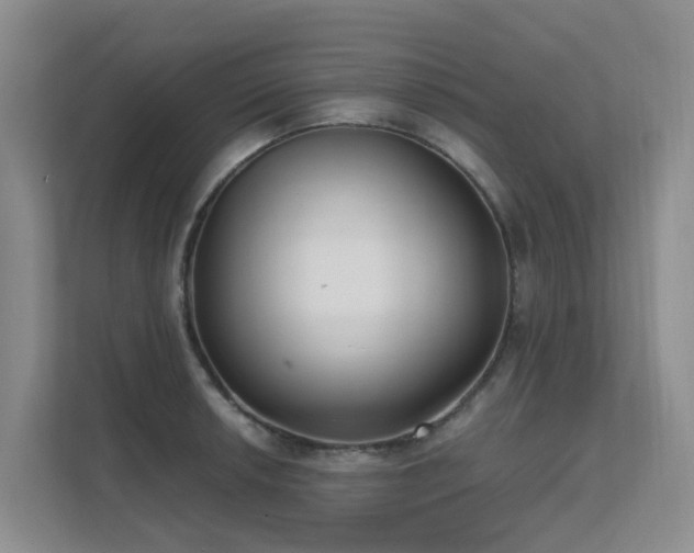 X0000111621042200907171240