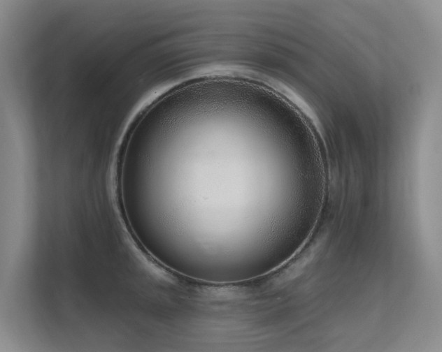 X0000111621045200907171240