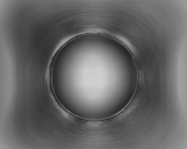 X0000111621046200907171240