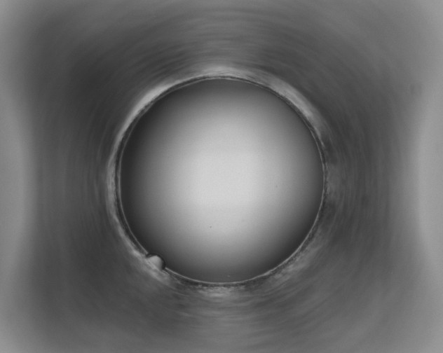 X0000111621048200907171240