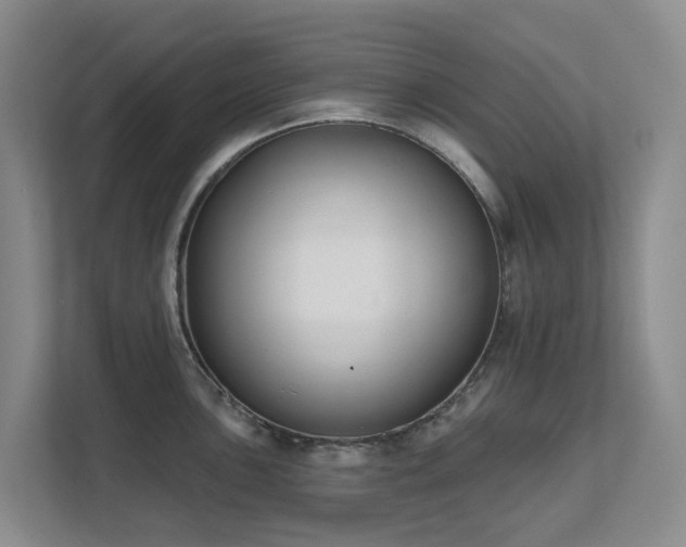 X0000111621051200907171240