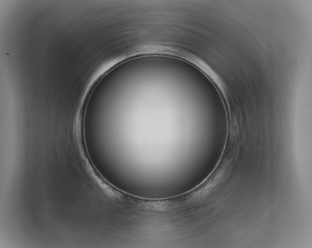 X0000111621053200907171240