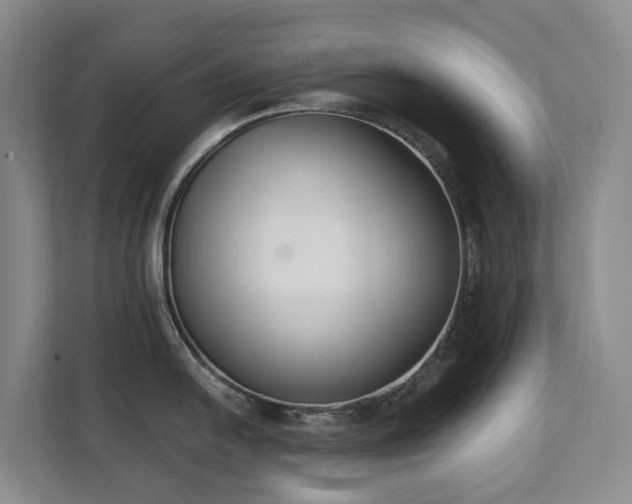 X0000111621054200907171240