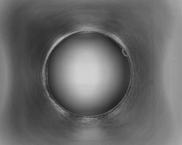 X0000111621056200907171240