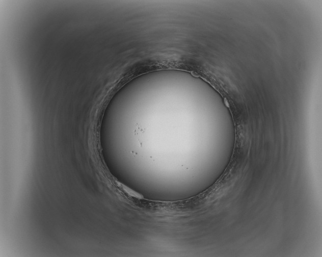 X0000111621057200907171240