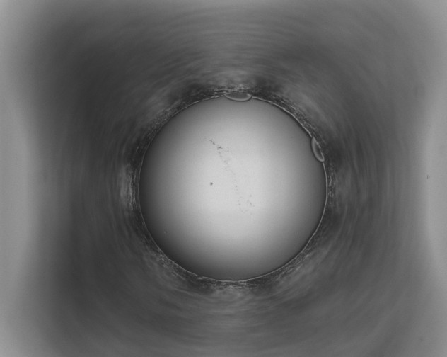 X0000111621058200907171239