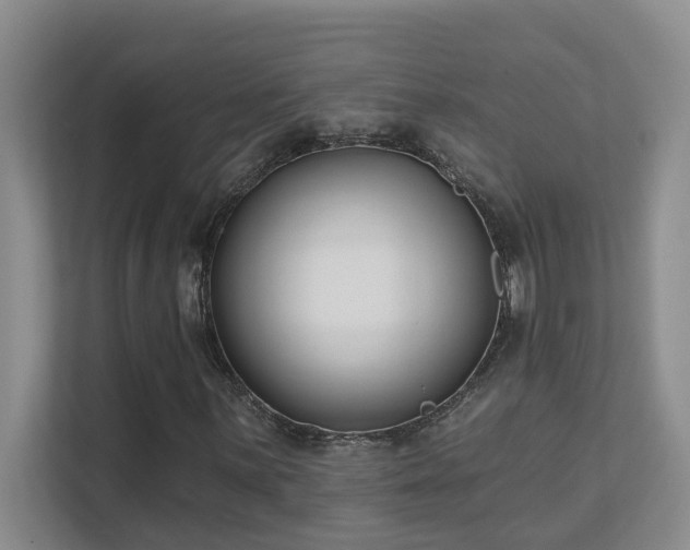 X0000111621059200907171239