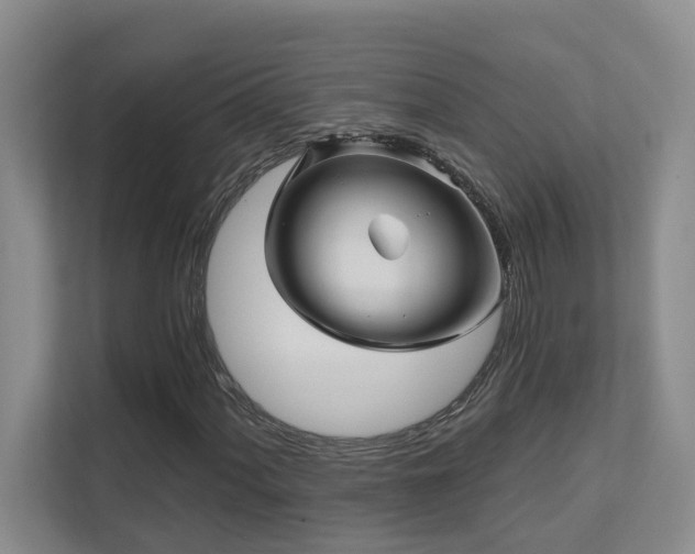 X0000111621060200907171239