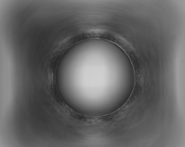 X0000111621061200907171239