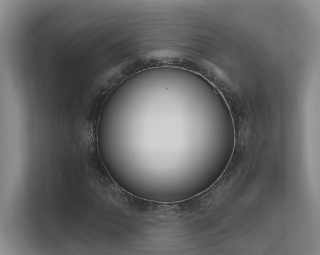 X0000111621062200907171239