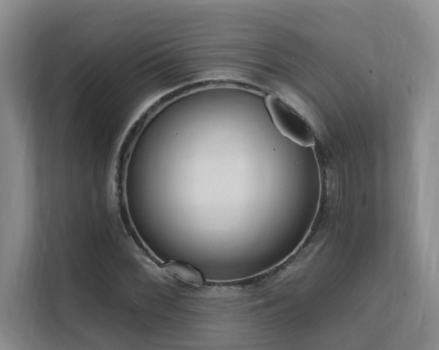 X0000111621068200907171239