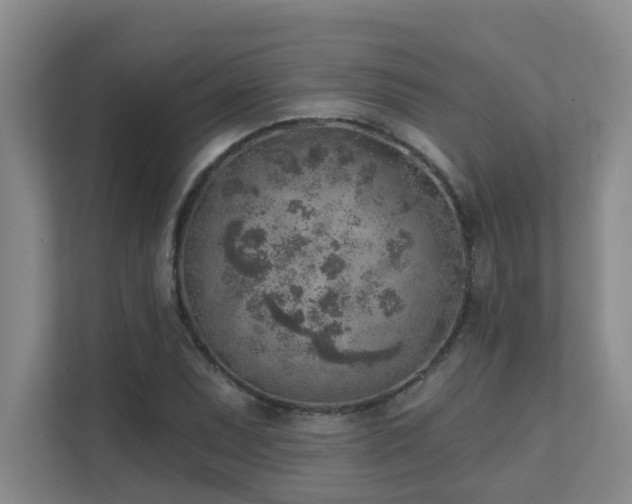 X0000111621071200907171239