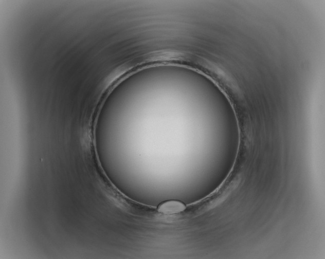 X0000111621073200907171239