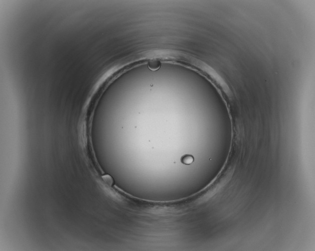 X0000111621075200907171239