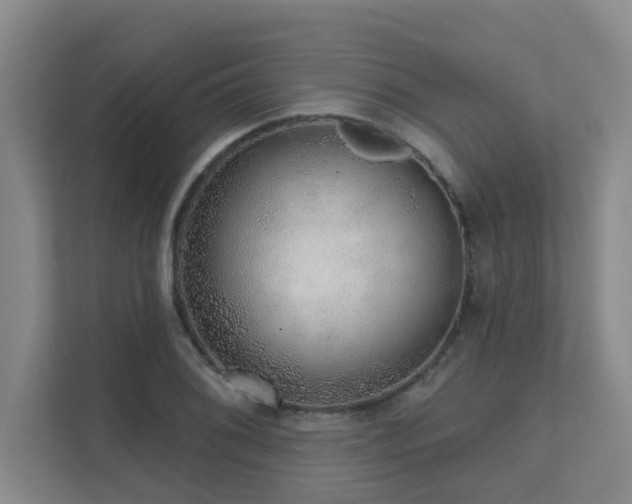 X0000111621076200907171239