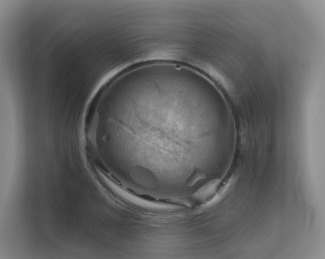 X0000111621077200907171239