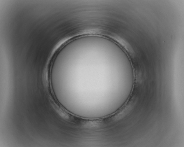 X0000111621078200907171239