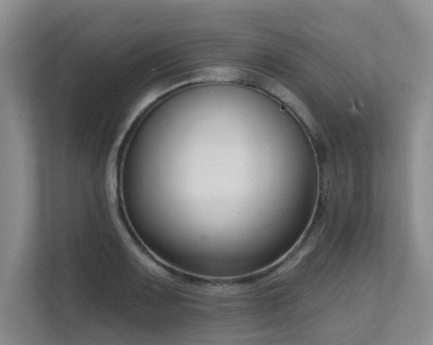 X0000111621083200907171239