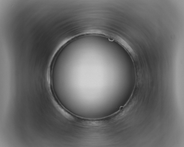 X0000111621084200907171239