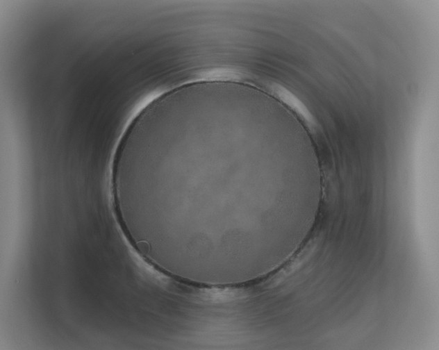 X0000111621087200907171239