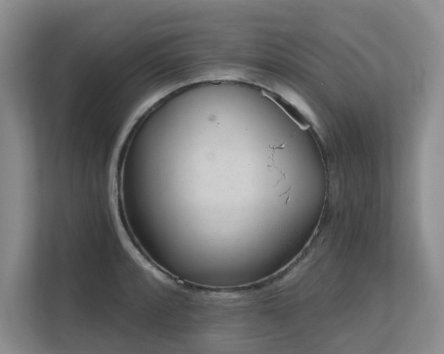X0000111621088200907171239