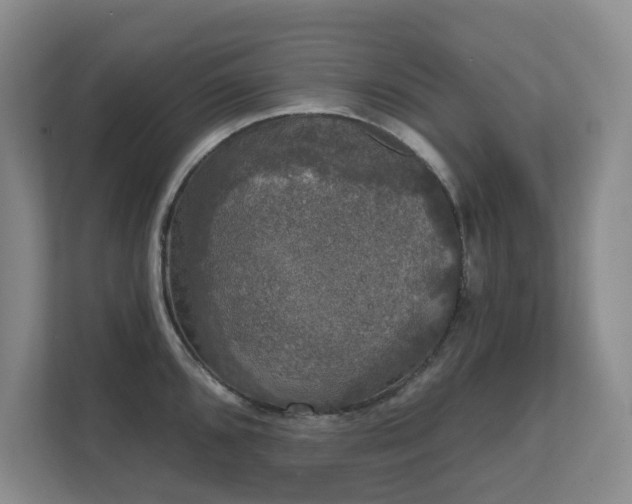 X0000111621096200907171239