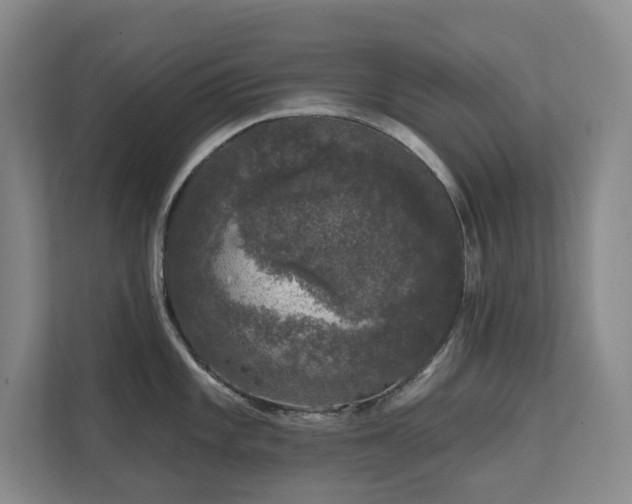 X0000111621101200907171239