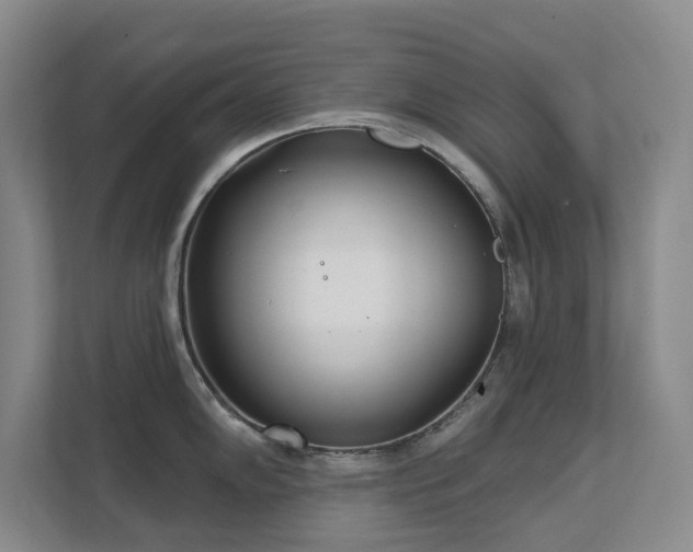 X0000111621102200907171239
