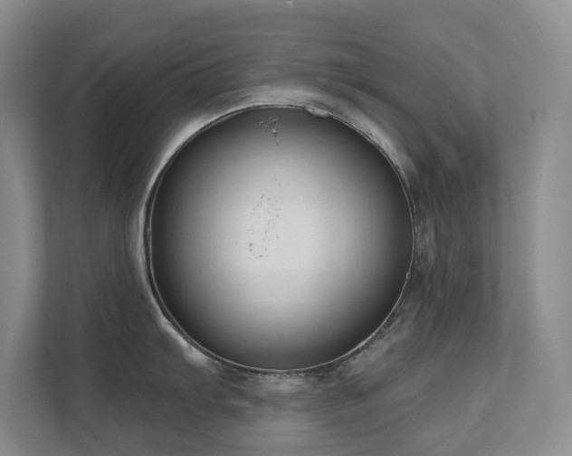 X0000111621103200907171239