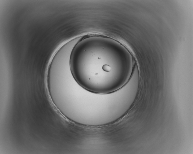 X0000111621104200907171239