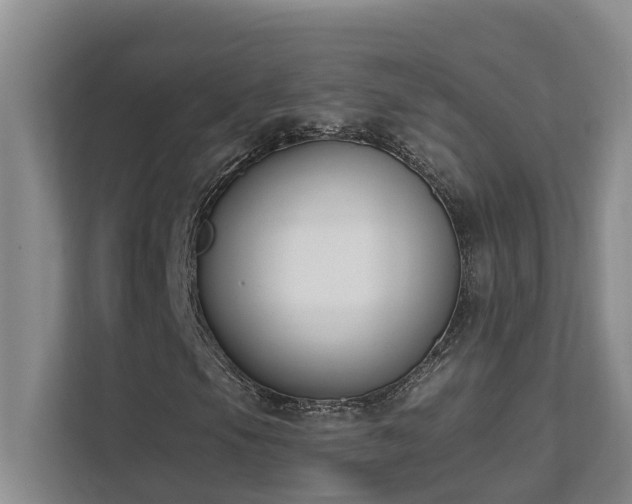 X0000111621105200907171238