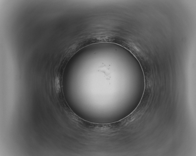 X0000111621106200907171238