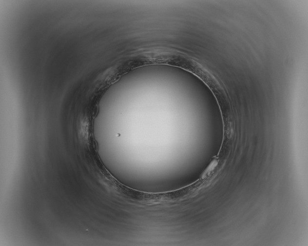 X0000111621108200907171238