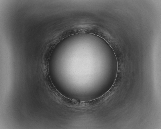 X0000111621109200907171238
