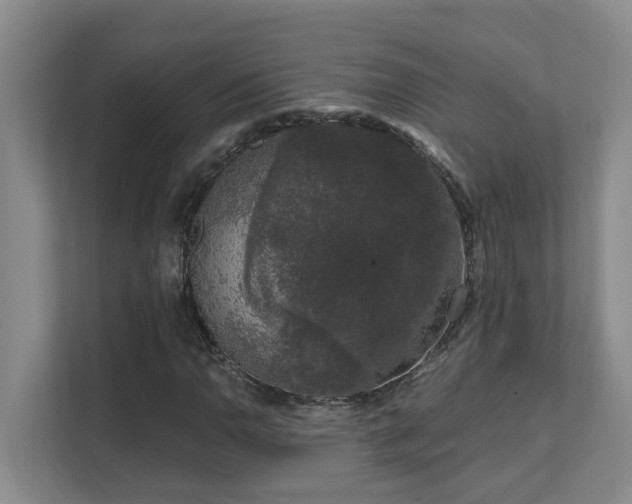 X0000111621110200907171238