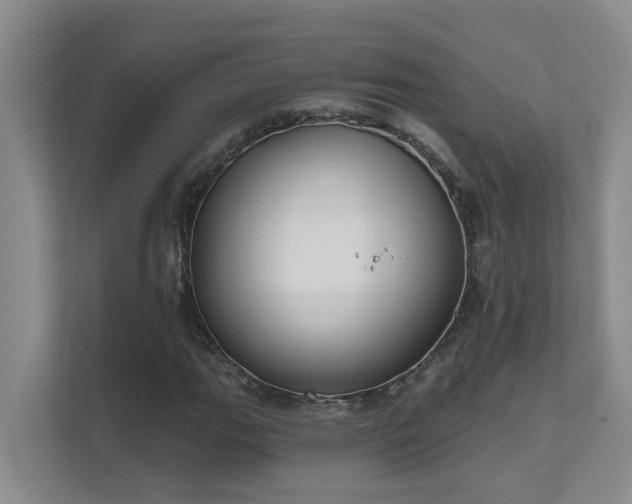 X0000111621111200907171238