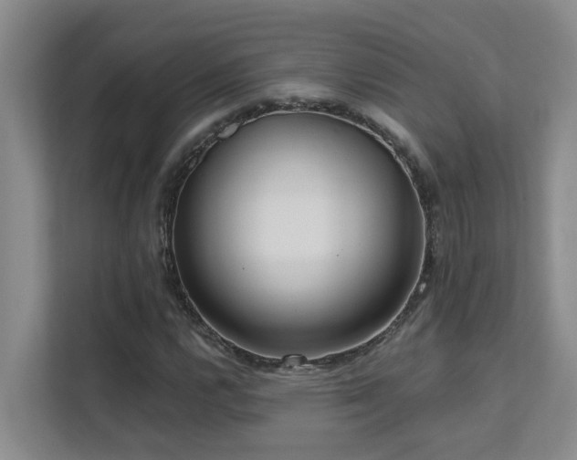 X0000111621112200907171238
