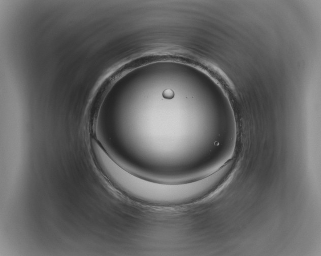 X0000111621114200907171238