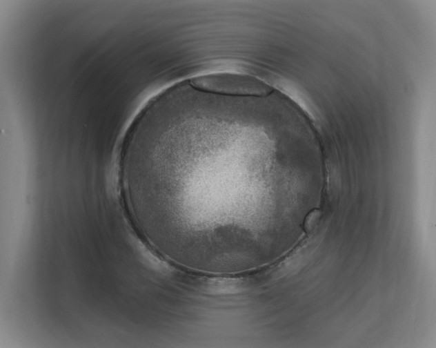 X0000111621116200907171238