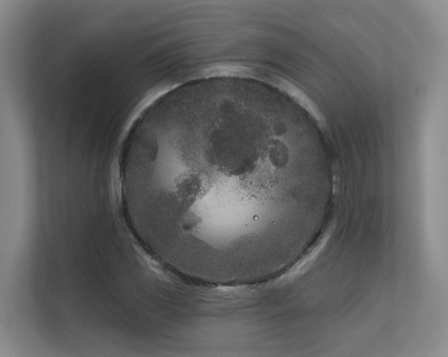 X0000111621117200907171238