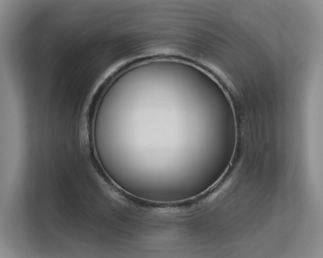 X0000111621118200907171238
