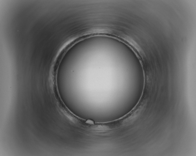 X0000111621119200907171238