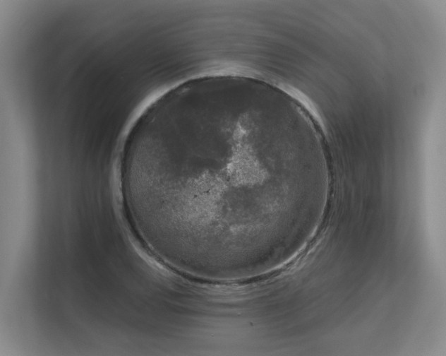 X0000111621120200907171238