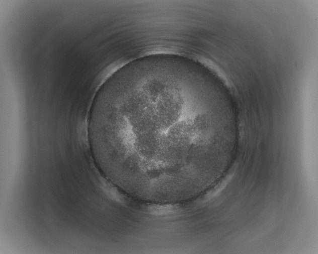 X0000111621121200907171238