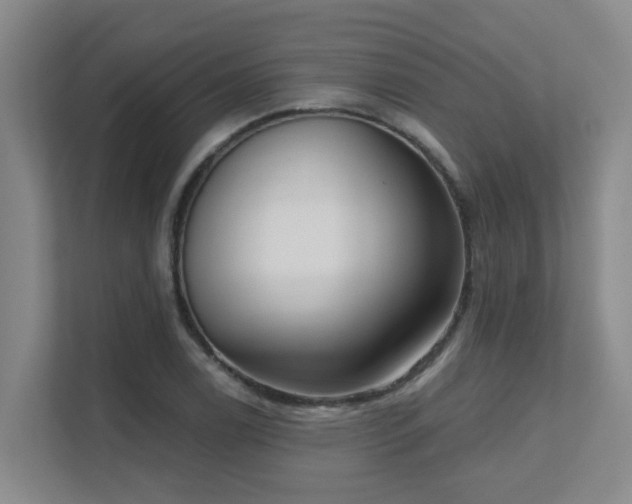 X0000111621122200907171238