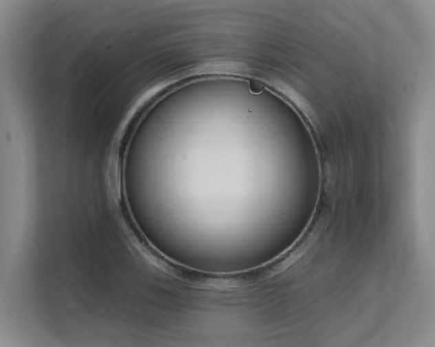X0000111621123200907171239