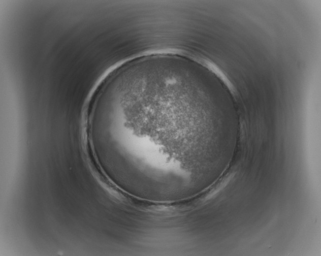 X0000111621124200907171239