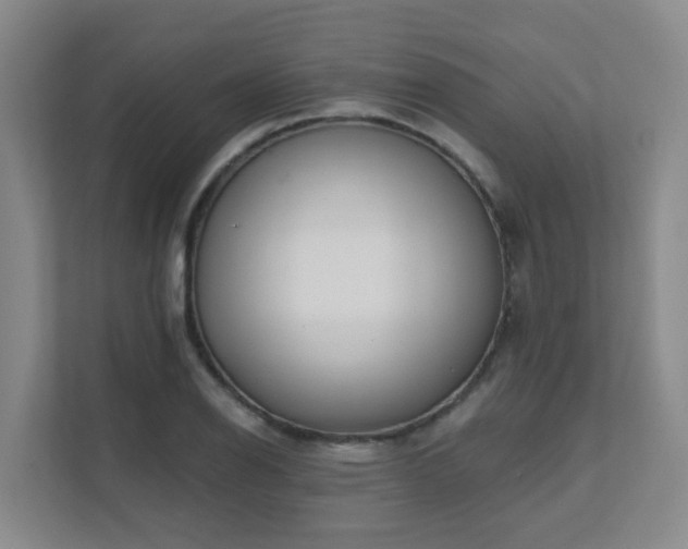 X0000111621126200907171239