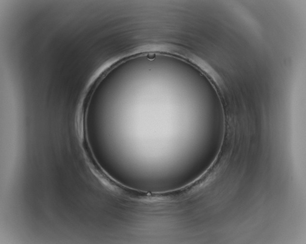 X0000111621127200907171239