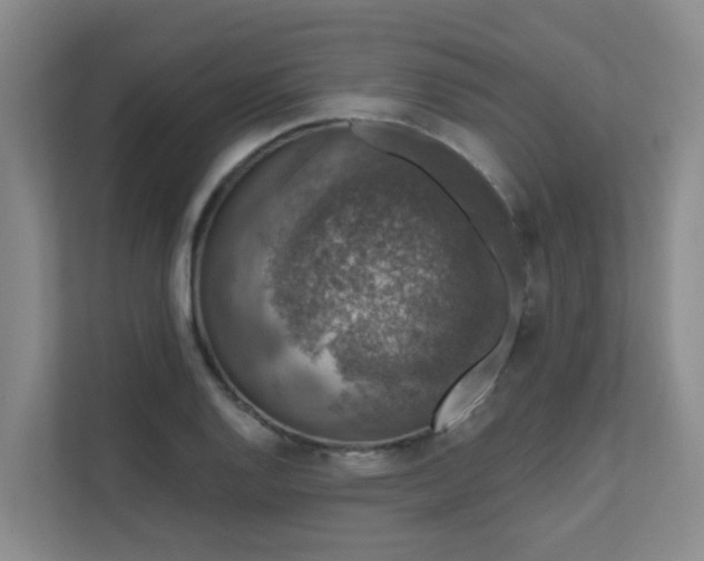 X0000111621128200907171239